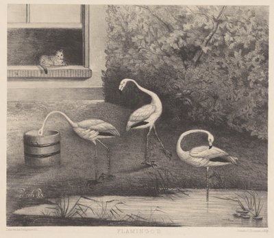 Üç flamingo ve bir kedi by Louise Marie Françoise van der Beek