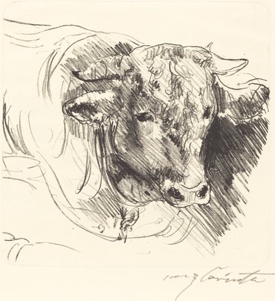 Stierkopf (Bir Dümenin Başı) by Lovis Corinth