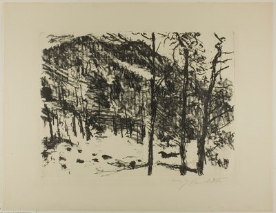 Dağlarda Erken İlkbahardan Vadi by Lovis Corinth