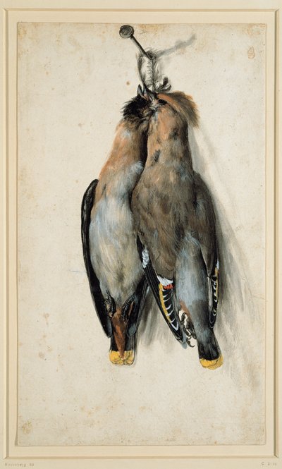 İki Ölü Bohem Ağda by Lucas Cranach the Elder