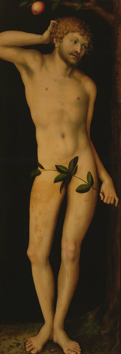 Adem, 1528 by Lucas Cranach the Elder
