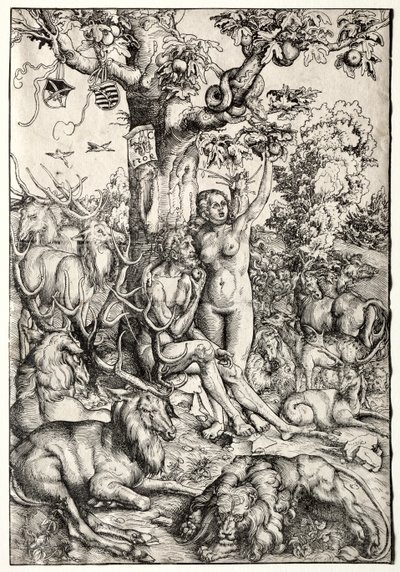 Adem ve Havva Cennette by Lucas Cranach