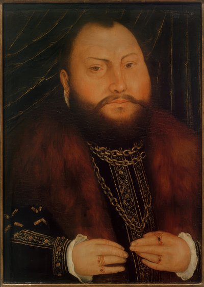 Johann Friedrich by Lucas Cranach der Jüngere