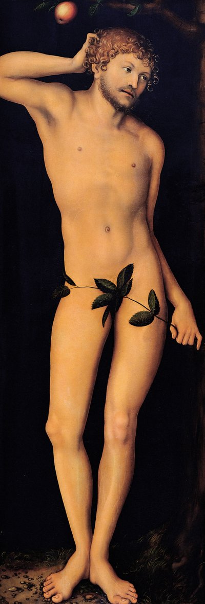 Adem, 1528. by Lucas Cranach the Elder
