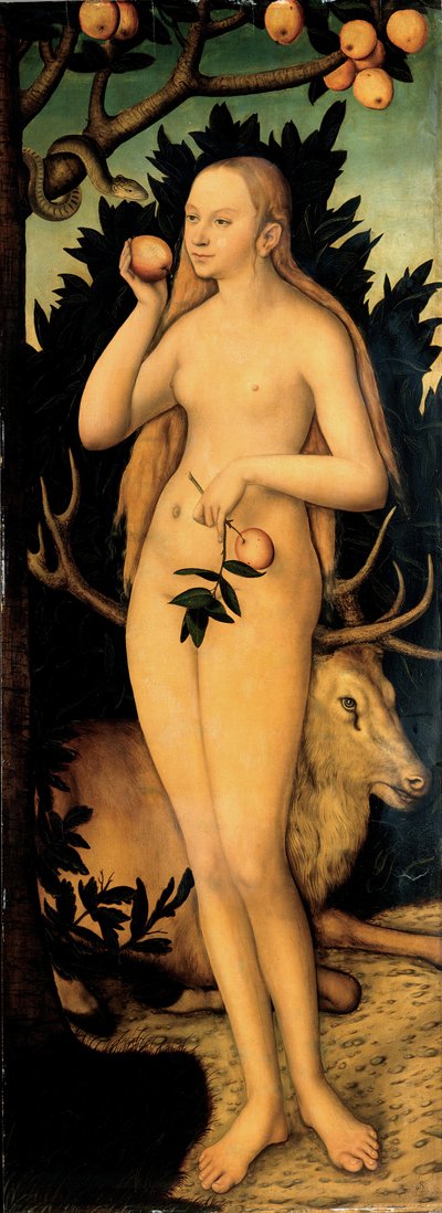Havva, 1537