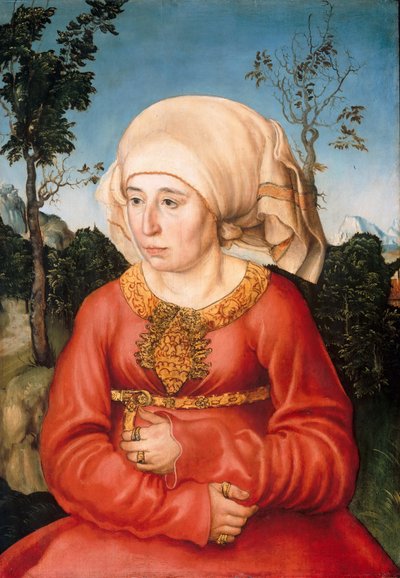 Bir hukukçunun karısının portresi by Lucas Cranach the Elder