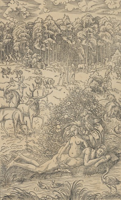 Havva'nın Yaratılışı by Lucas Cranach the Younger  