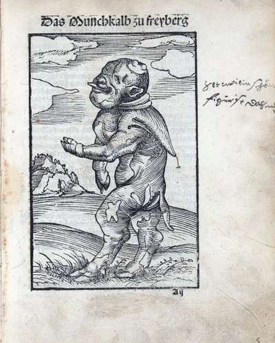 Freiberg Keşiş Buzağı (Das Moenchkalb zu Freiberg), Cranach, Lucas, the Elder (1472-1553). gravür by Lucas the Elder Cranach