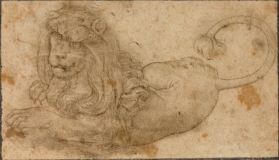 Aslan Çalışması by Lucas the Elder Cranach