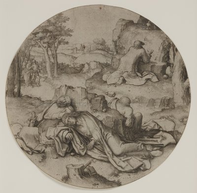 Bahçedeki Acı by Lucas van Leyden