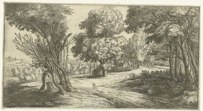 orman manzarası by Lucas van Uden