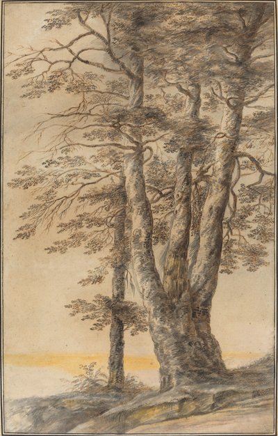 Ağaçların Çalışması by Lucas van Uden