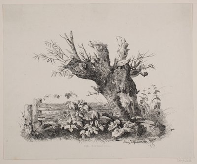 bir çit tarafından by Ludvig Messmann