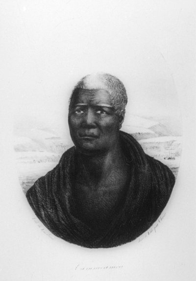 Kamehameha I, Hawaii, 1816 by Ludwig Choris
