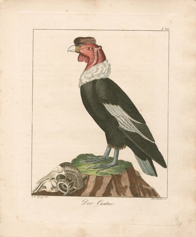  by Ludwig Christoph Tyroff