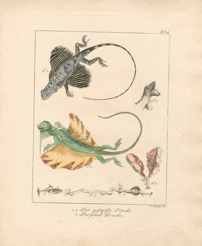  by Ludwig Christoph Tyroff