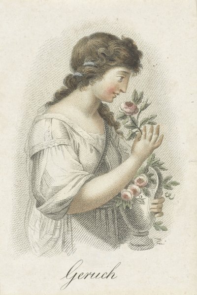 Koku Söylenti (nesne üzerindeki başlık) Kadın figürleriyle temsil edilen beş duyu (dizi adı) Die Funf Sinne (dizi adı) by Ludwig Gottlieb Portman