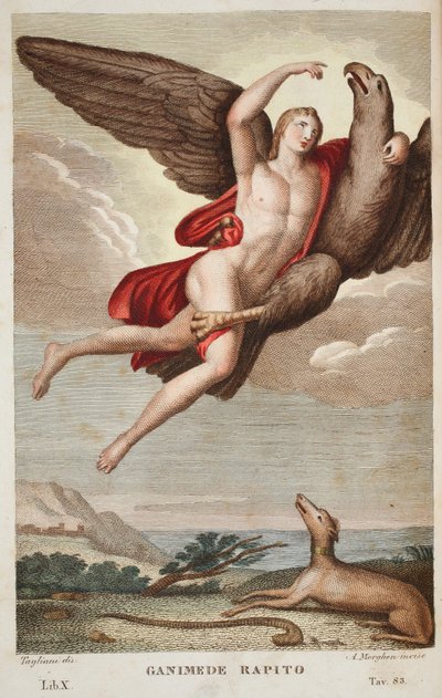 Ganymede Cennete veya Ganimede Rapito, Kitap X, Ovid