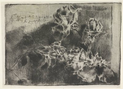 Rozentak Onunla aşktan bahsediyorsun (...) by Luigi Conconi
