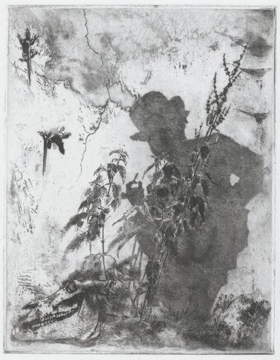 Düşünceli Hayat by Luigi Conconi