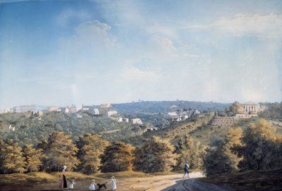 Ponti Rossi yolu boyunca Capodimonte tepesi ve villalar (guaj) by Luigi Fergola