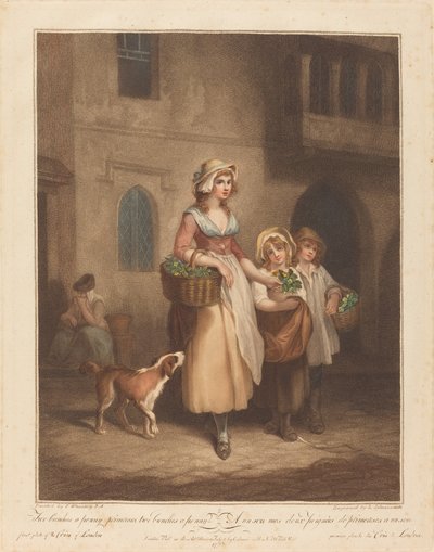 İki Demet Bir Kuruş, Primroses by Luigi Schiavonetti after Francis Wheatley