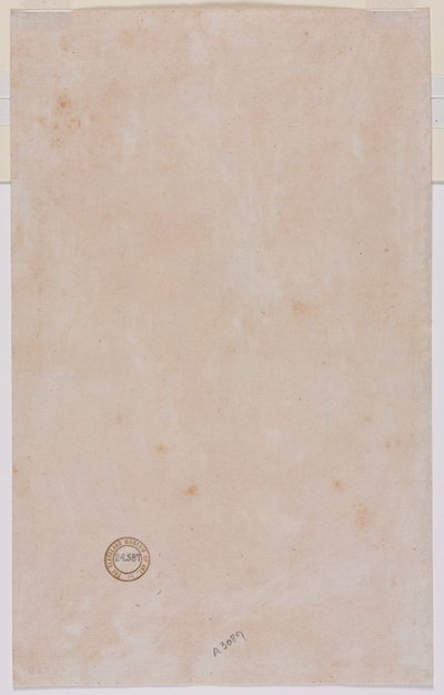 Mimari Plan tersi, 1500