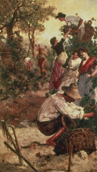 Üzüm Hasadı by M.F. Moles