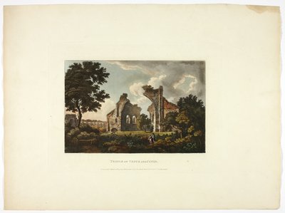 Venüs ve Aşk Tanrısı Tapınağı, Roma Harabelerinden on ikinci levha by M. Dubourg