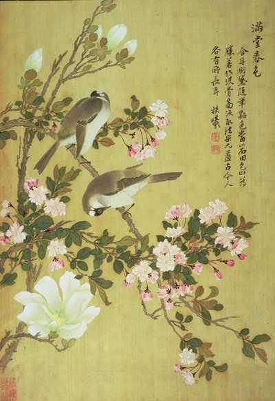 Crabapple, Manolya ve Baitou Kuşları by Ma Yuanyu