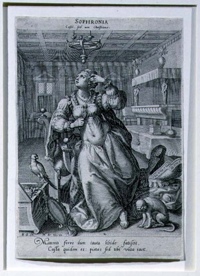 Sophronia, 