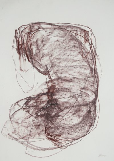 Torso 5, 2022 (kağıt üzerine karakalem) by Madgalena Morey