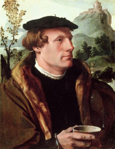 Bir Beyefendinin Portresi by Maerten van Heemskerck