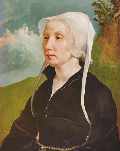  by Maerten van Heemskerck