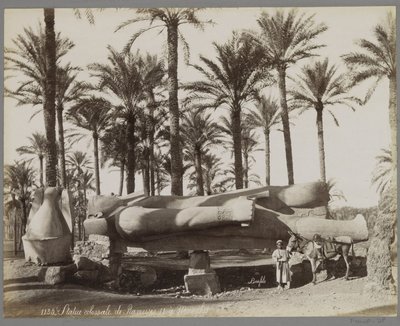 Memphis'teki uzanmış II. Ramses heykeli, ön planda eşeği olan bir çocuk Heykeli colossale de Ramesses II à Memphis (nesnedeki başlık) by Maison Bonfils