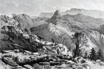 Dongolo yakınlarındaki yürüyüşte, James Ferguson tarafından kazınmış, 1868 by Major A.G.F. Hogg