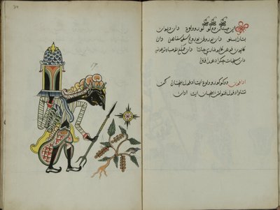 Zerdeçal Java, MS 41 s. 34, Resim 17, 1830 by Malay Malay