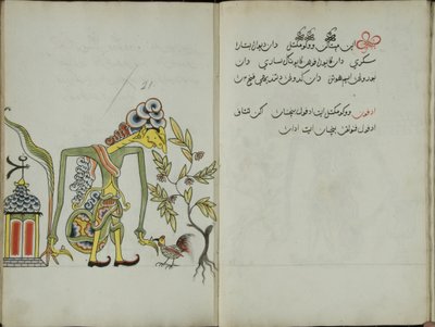 Zerdeçal Java, MS 41 s. 42, Resim 21, 1830 by Malay Malay