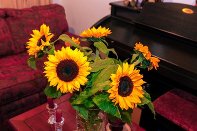 Kolombiya'daki And Dağları'ndan Parlak Sarı Ayçiçekleri veya Helianthus Annuus Bogota Şehrindeki Bir Evi Süslüyor by Mano Chandra Dhas