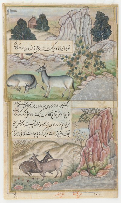  by Mansur (fl.c.1590 1630)