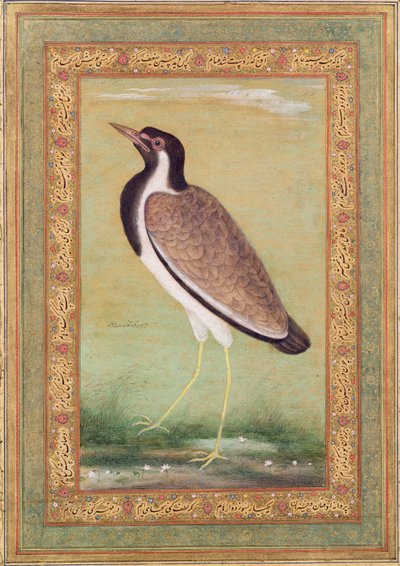 Hint kız kuşu, 1800 dolayları by Mansur