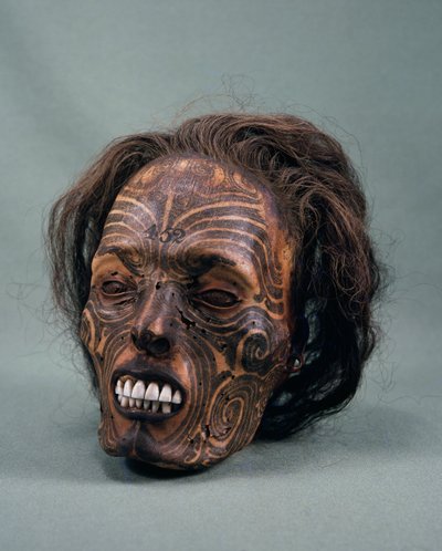 Kabile şefinin kafası, dövmeli ve mumyalanmış, Maori uygarlığı by Maori Maori