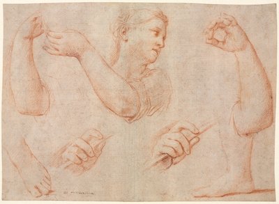 Tef Çalan Genç Kadın Çalışması ve Kol, El ve Ayak Çalışmaları..., c. 1711. by Marcantonio Franceschini