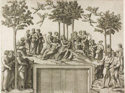 Parnassus