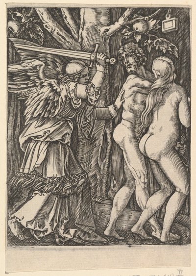 Cennetten Kovulma, Dürer