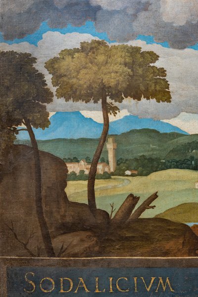Vicenza şehrinin detayı by Marcello Fogolino