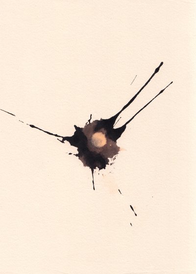  by Marco Campedelli
