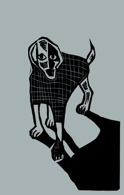  by Marco Campedelli