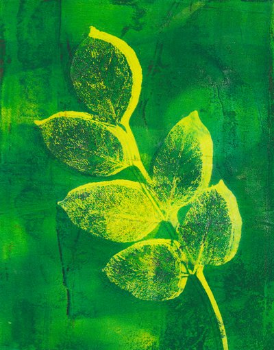  by Marco Campedelli