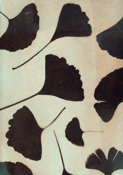  by Marco Campedelli